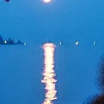 Seeperle * 보드만루드비히샤펜