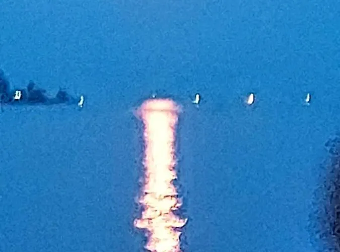 Seeperle * Bodman-Ludwigshafen